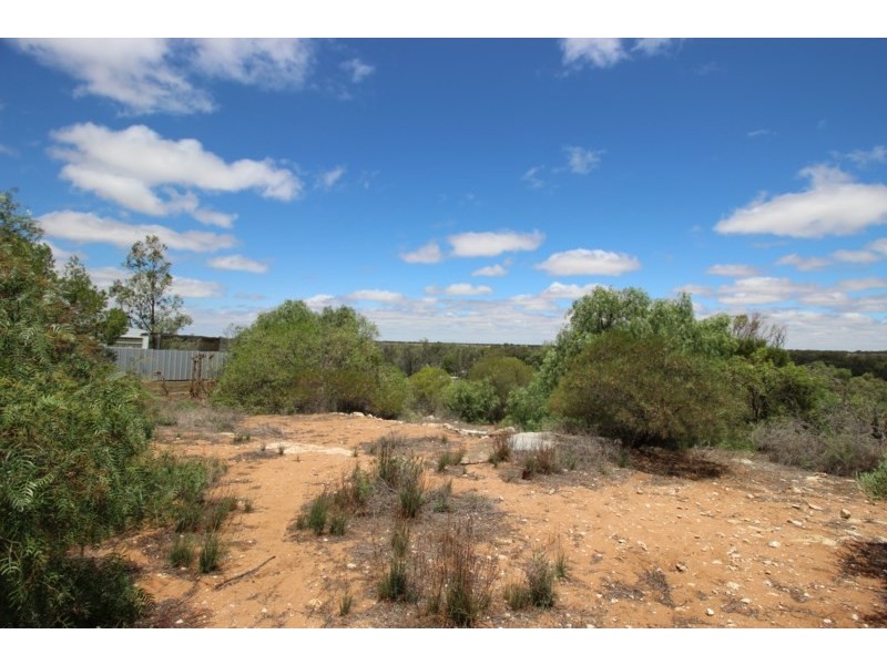 7 Idyll Avenue, Morgan SA 5320