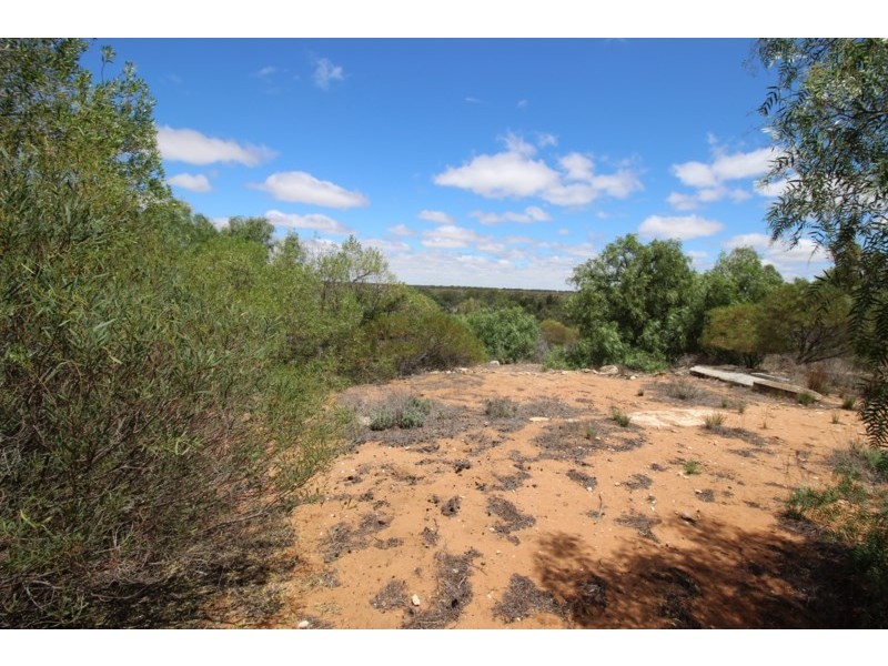 7 Idyll Avenue, Morgan SA 5320