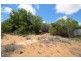 7 Idyll Avenue, Morgan SA 5320