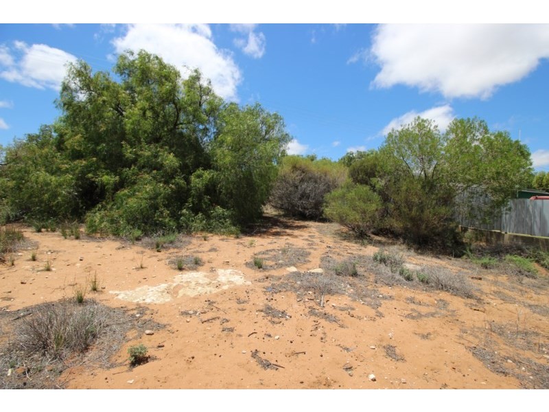 7 Idyll Avenue, Morgan SA 5320