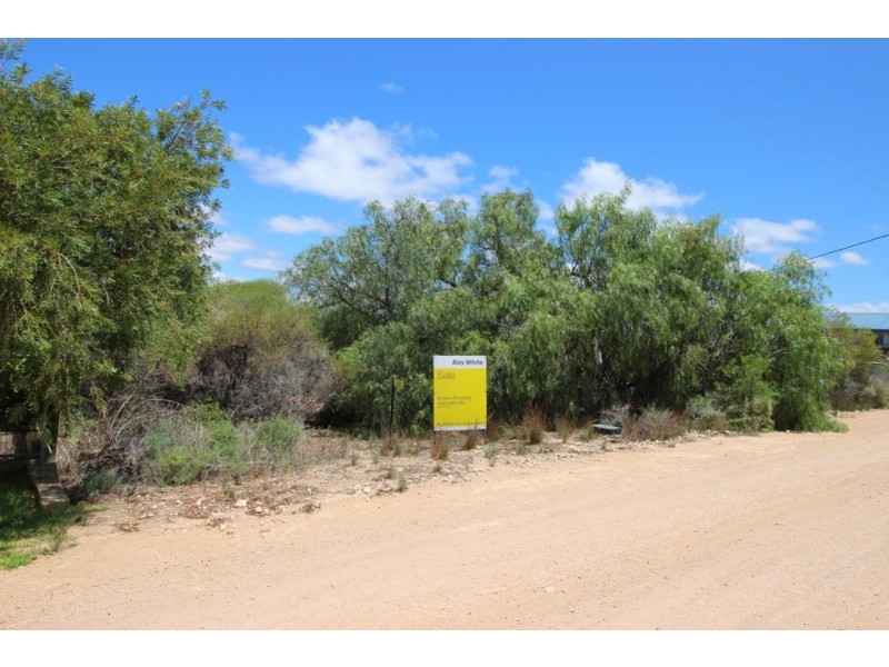 7 Idyll Avenue, Morgan SA 5320