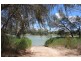 7 Idyll Avenue, Morgan SA 5320