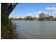 7 Idyll Avenue, Morgan SA 5320