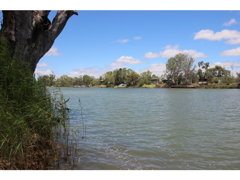 7 Idyll Avenue, Morgan SA 5320