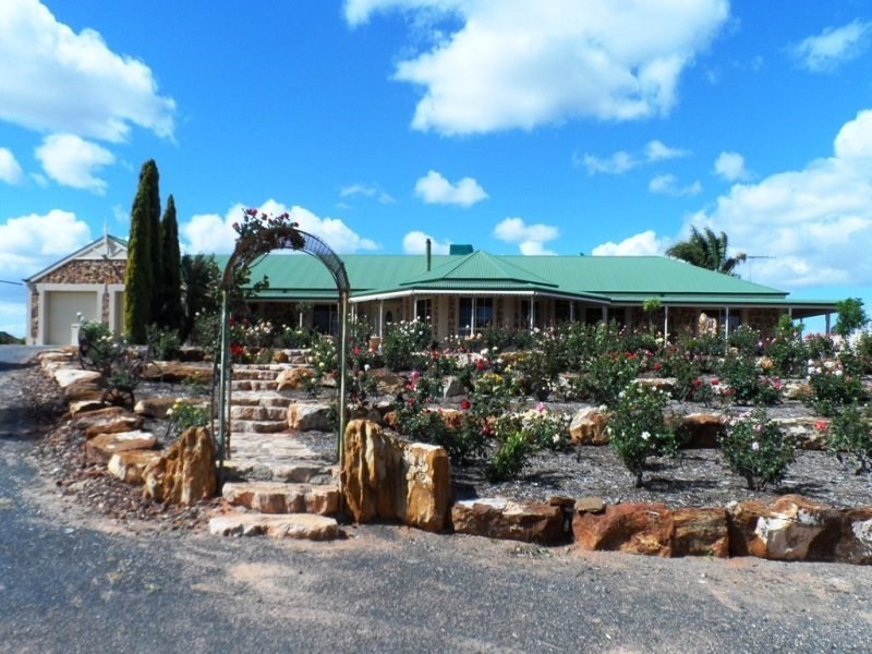 53 Chaffey Street, Renmark SA 5341