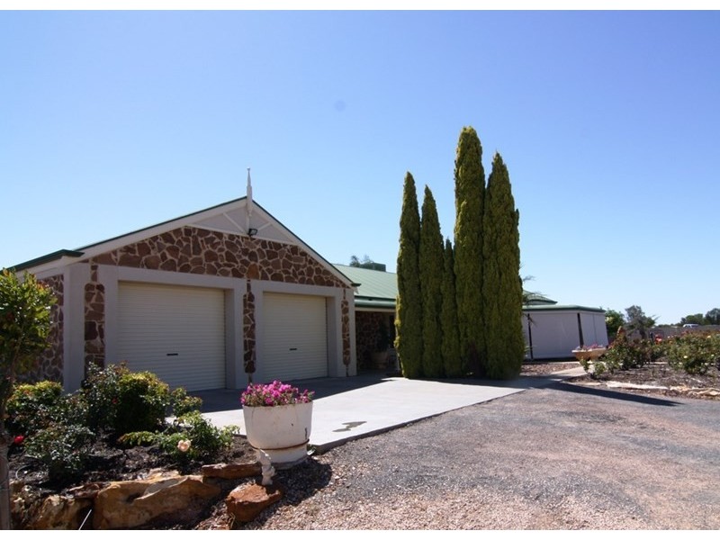 53 Chaffey Street, Renmark SA 5341