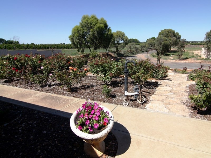 53 Chaffey Street, Renmark SA 5341