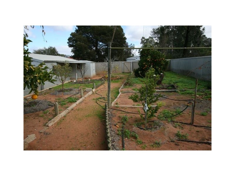 Lot 270 Ramco Road, Waikerie SA 5330