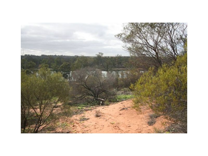 Lot 270 Ramco Road, Waikerie SA 5330