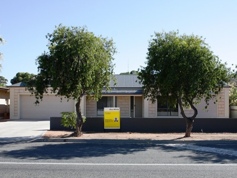 45 Tonkin Avenue, Barmera SA 5345