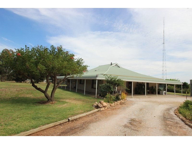 12397 Sturt Highway, Waikerie SA 5330