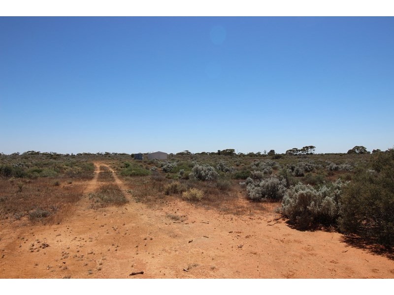 56 Ring Road, Morgan SA 5320