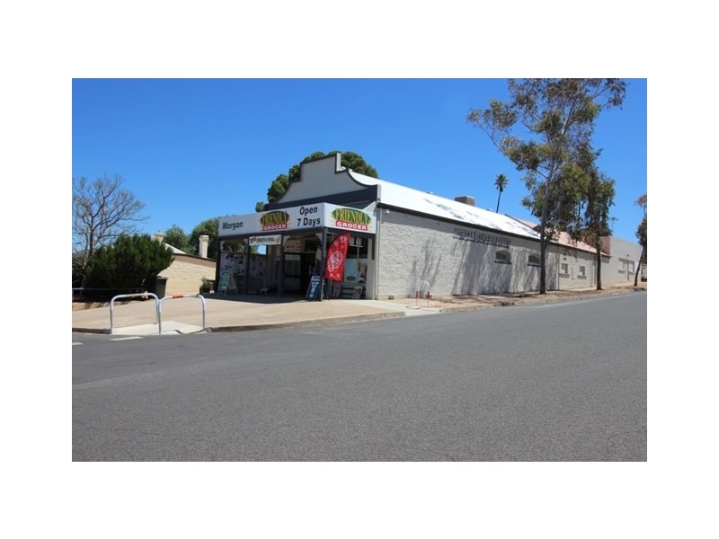 56 Ring Road, Morgan SA 5320