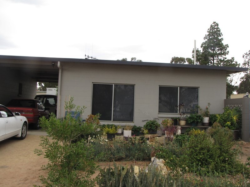 1 and 2/42 Queen Elizabeth Drive, Barmera SA 5345