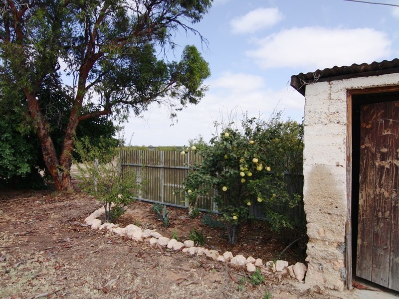 75 Henry Road, Kingston On Murray SA 5331