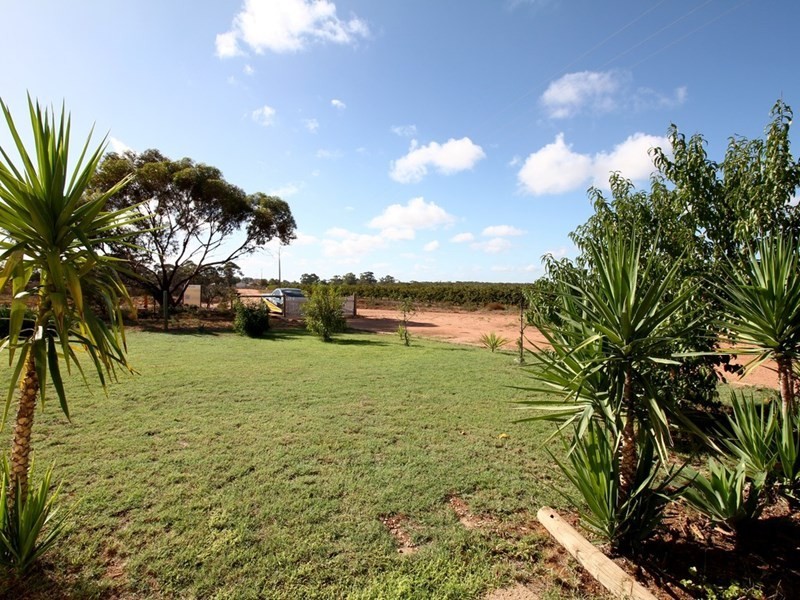 75 Henry Road, Kingston On Murray SA 5331