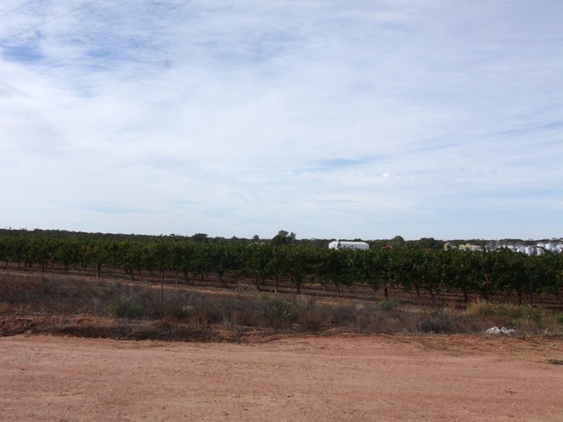 75 Henry Road, Kingston On Murray SA 5331