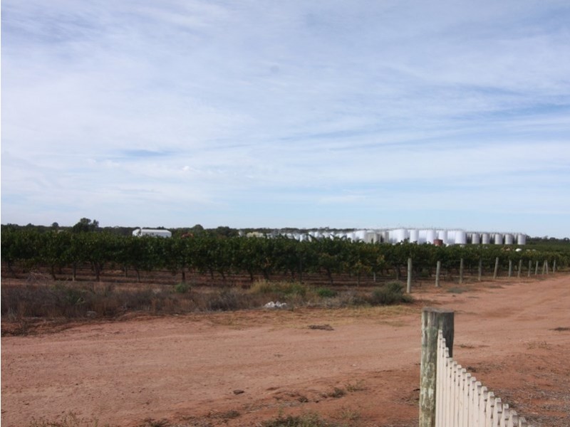 75 Henry Road, Kingston On Murray SA 5331