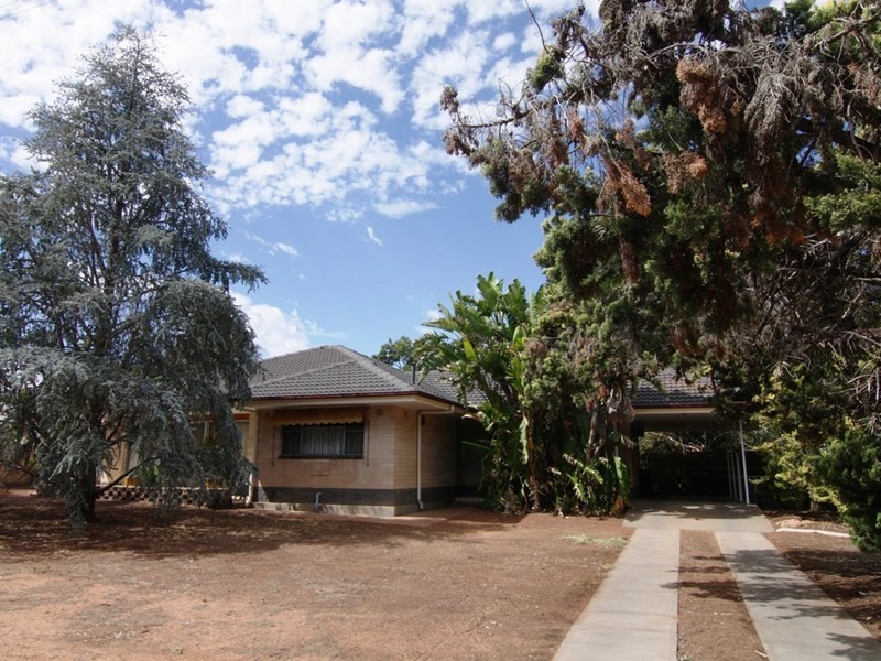 12 Nookamka Terrace, Barmera SA 5345