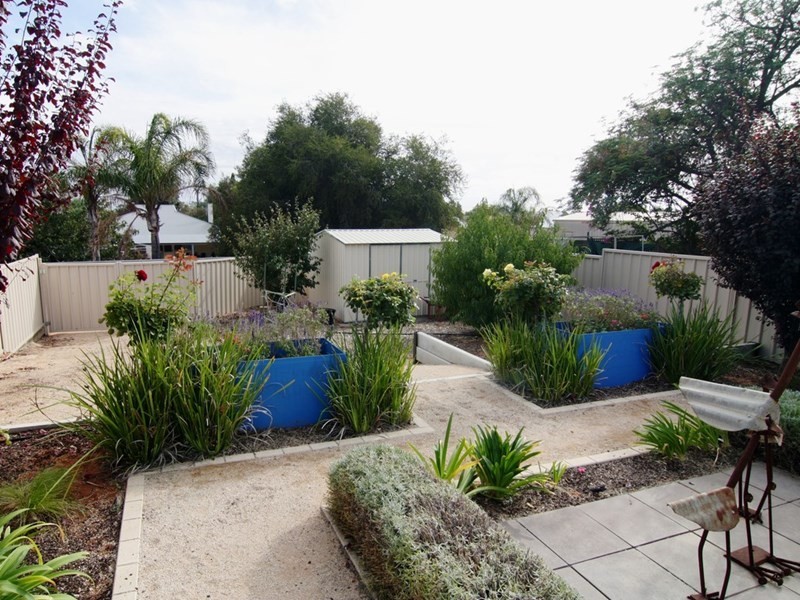 6A Pascoe Terrace, Barmera SA 5345