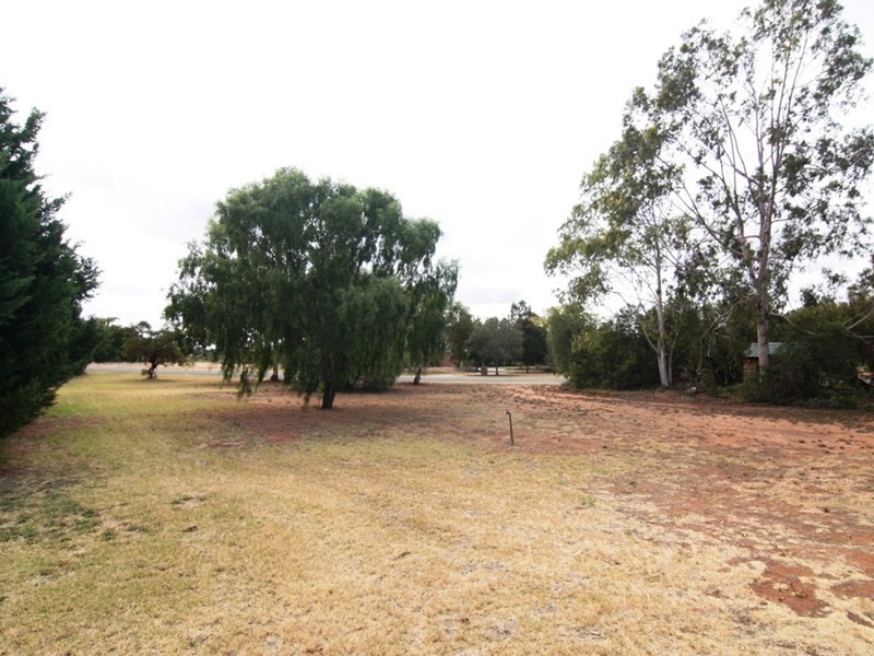 4 Kondoprias Court, Berri SA 5343