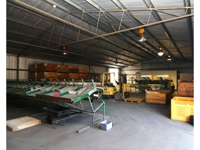 Lot 4 Mill Road, Loxton SA 5333