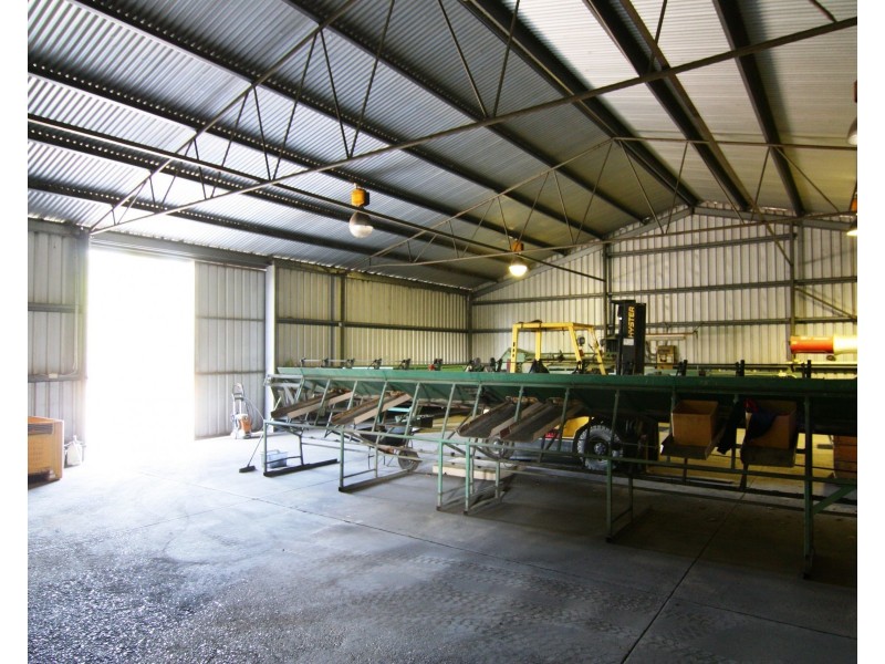 Lot 4 Mill Road, Loxton SA 5333