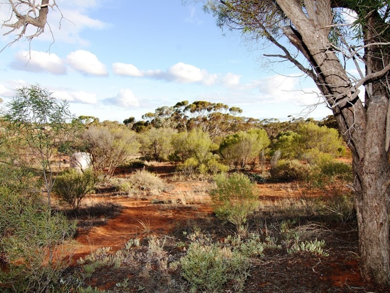 2 Smith Road, Glossop SA 5344