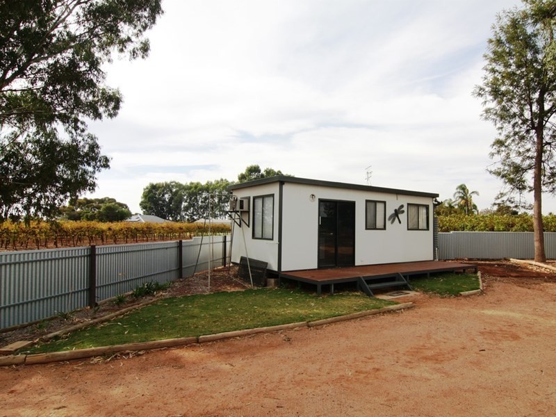 226 McKenzie Road, Loveday SA 5345