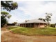 226 McKenzie Road, Loveday SA 5345
