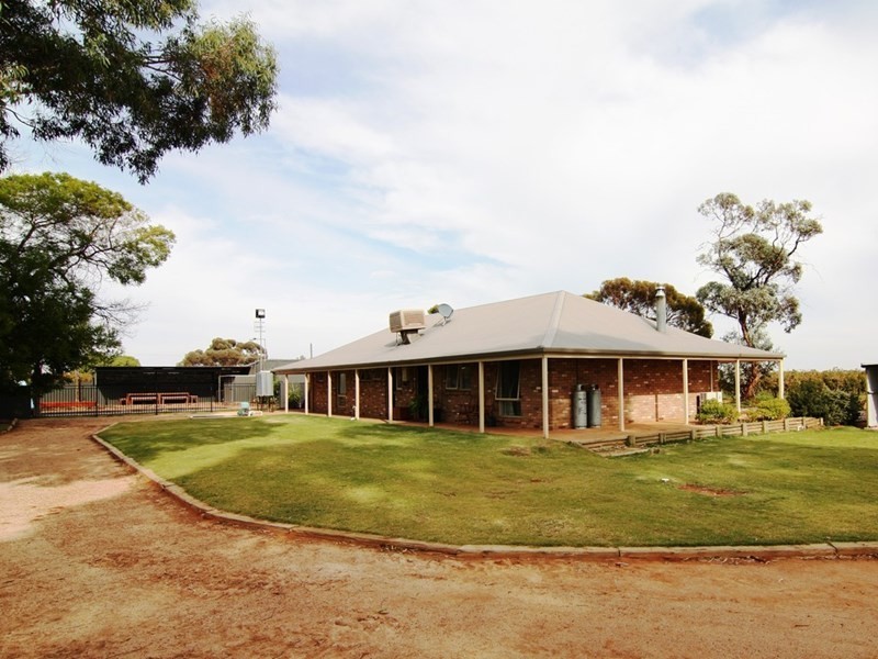226 McKenzie Road, Loveday SA 5345