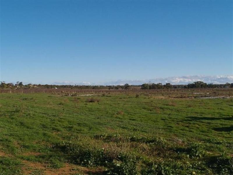 92 Cadell Valley Road, Cadell SA 5321