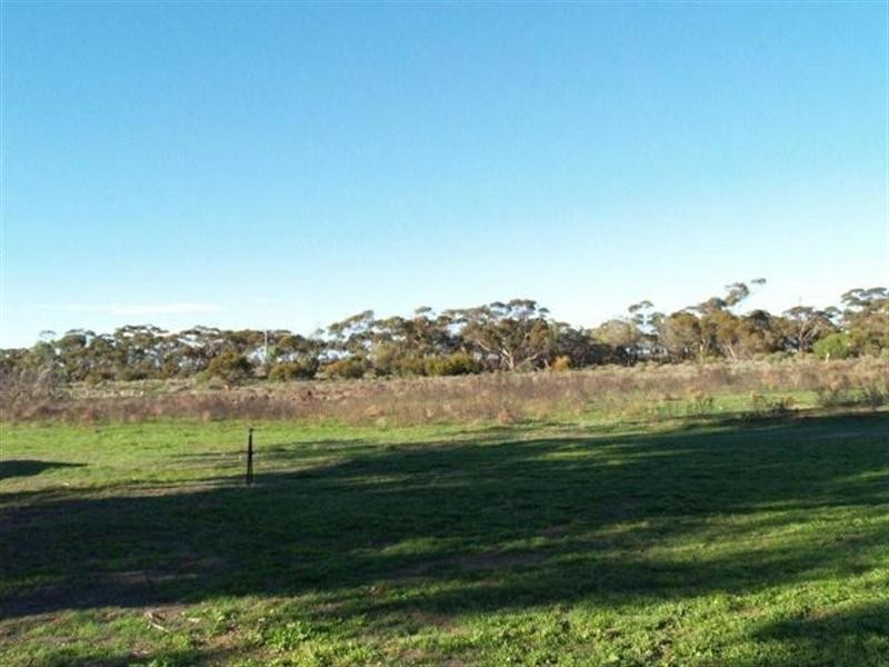 92 Cadell Valley Road, Cadell SA 5321