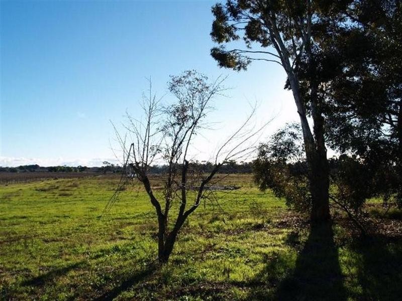 92 Cadell Valley Road, Cadell SA 5321