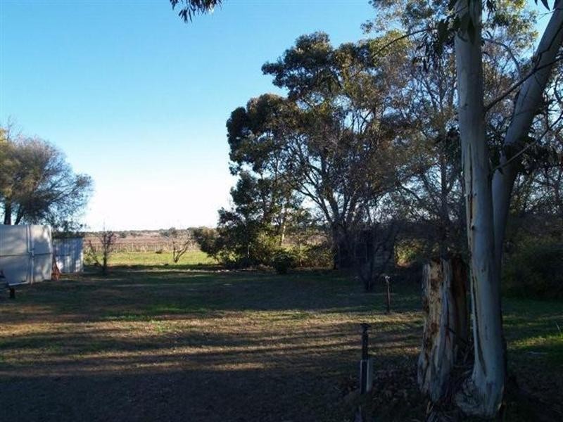92 Cadell Valley Road, Cadell SA 5321