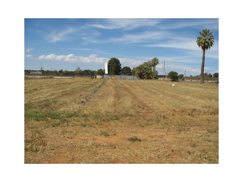 Lot 12 English Road, Barmera SA 5345