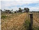 Lot 12 English Road, Barmera SA 5345