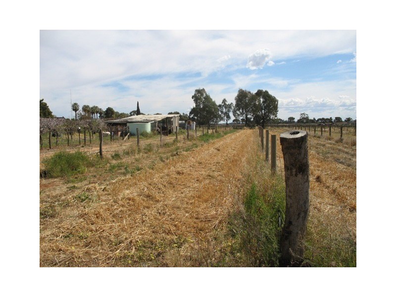 Lot 12 English Road, Barmera SA 5345