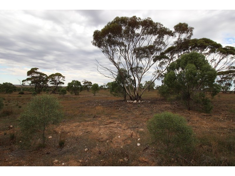 Section 110 Skurray, Blanchetown SA 5357