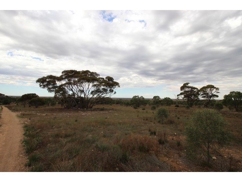 Section 110 Skurray, Blanchetown SA 5357