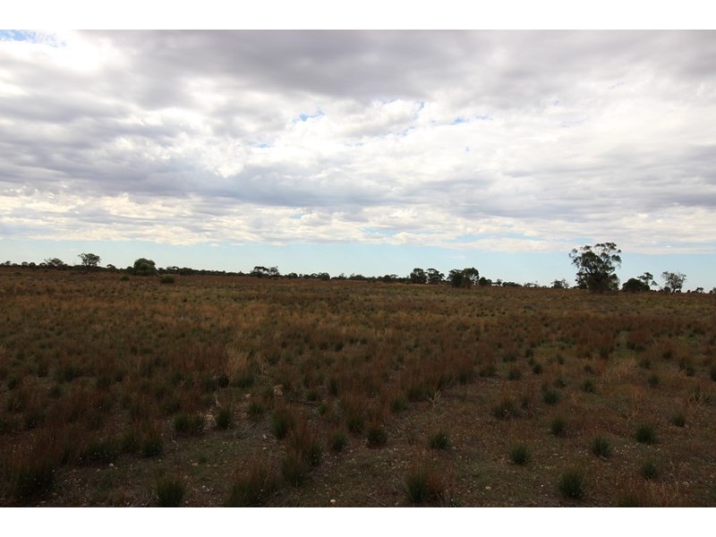 Section 110 Skurray, Blanchetown SA 5357