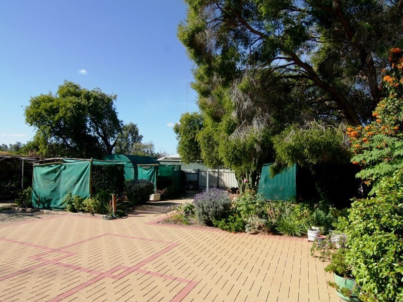 46 Zante Road, Berri SA 5343