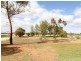 17 Morgan Road, Cobdogla SA 5346