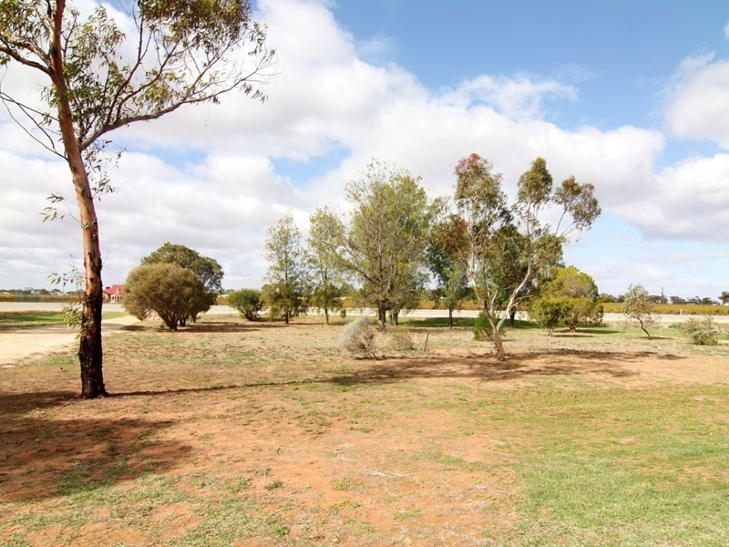 17 Morgan Road, Cobdogla SA 5346