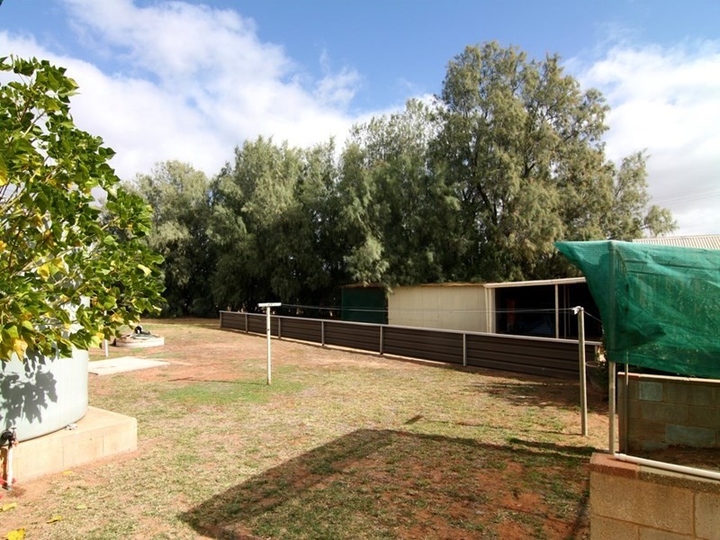 17 Morgan Road, Cobdogla SA 5346