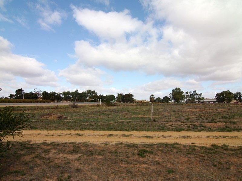 17 Morgan Road, Cobdogla SA 5346