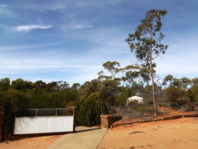 86 Davis Road, Winkie SA 5343