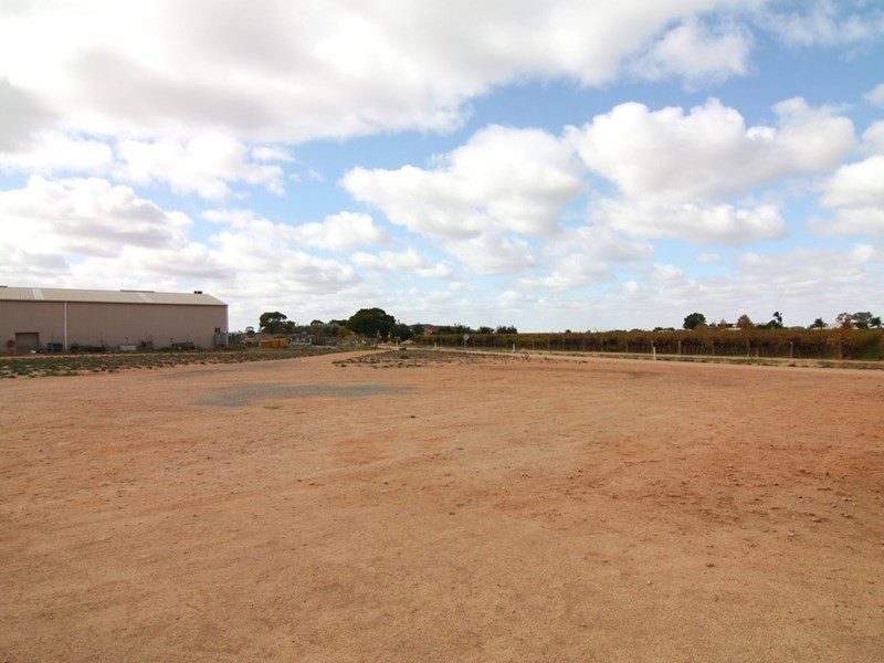 2 Anderson Street, Barmera SA 5345