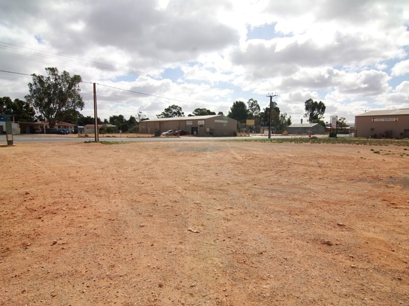 2 Anderson Street, Barmera SA 5345