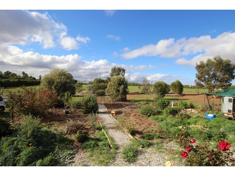 188 Medley Road, Waikerie SA 5330